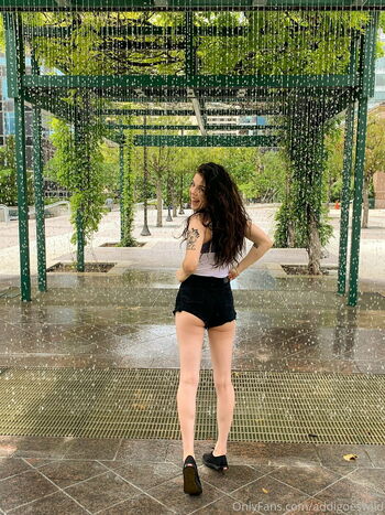addigoeswild