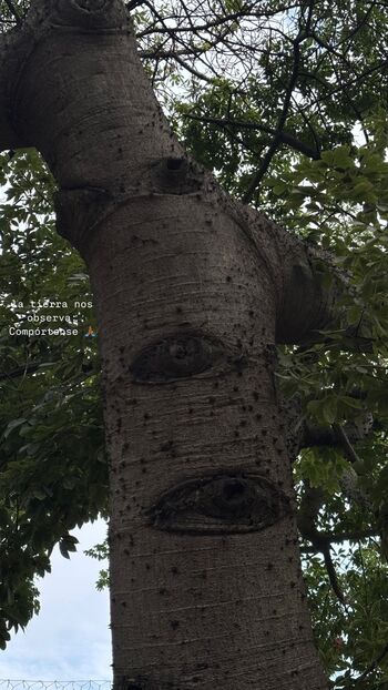 Afrika0_ Sweet_Afri Sweet.africa