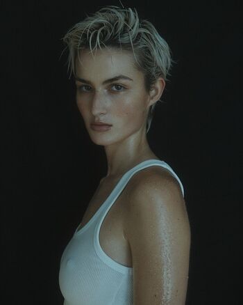 Aleandrafrek