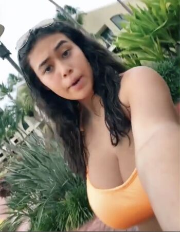 alex.papadonker