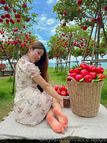 alice.feetze