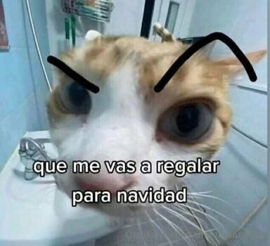 amaviudanegra