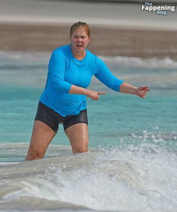 Amy Schumer