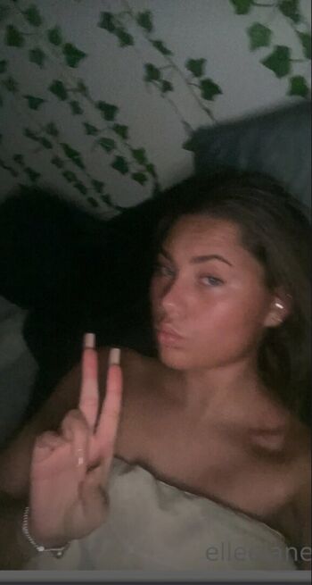 An Incredible Discovery