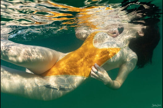 Anatomic_art