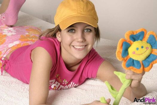 Andi Land