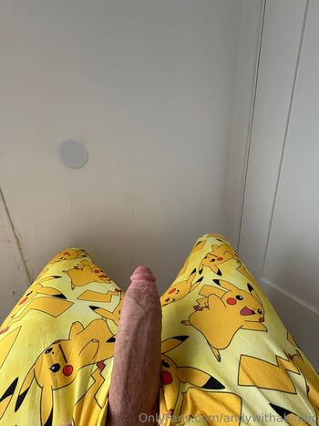 andywithabigdic