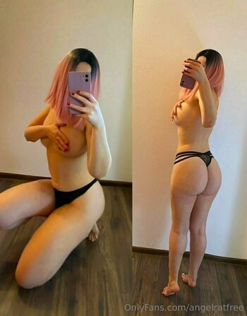 angelratfree