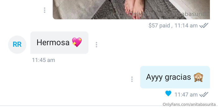 anitabasurita