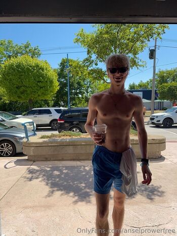 anselprowerfree