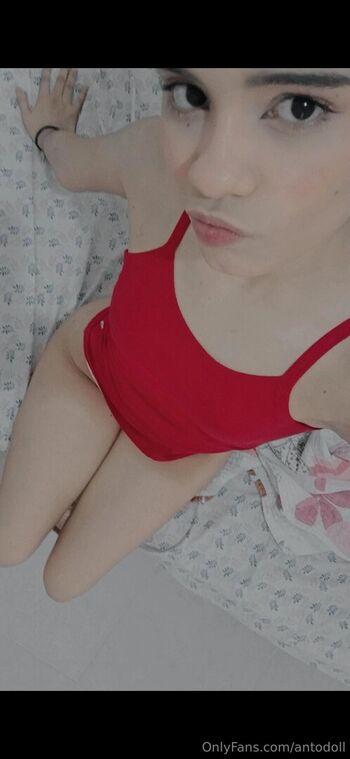 antodoll