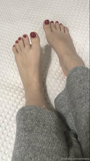 ariebella