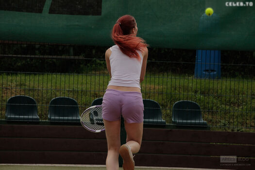 Ariel