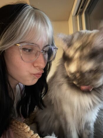 Aspen_ow