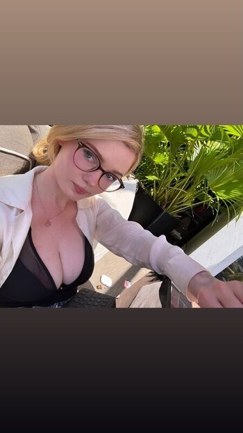 Avalon Warren