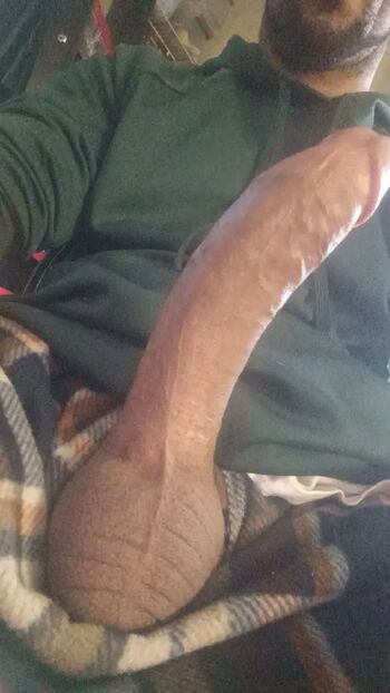 Bailey Diesel