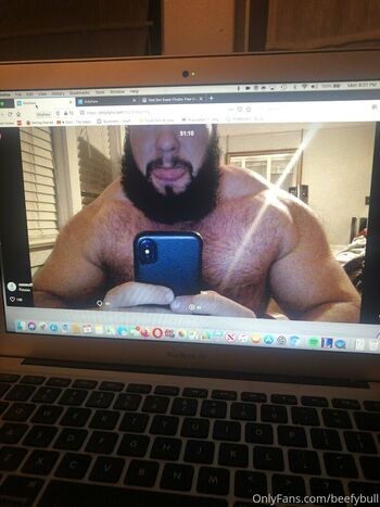 beefybull