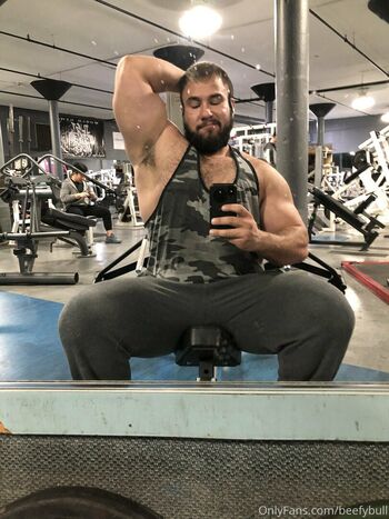 beefybull
