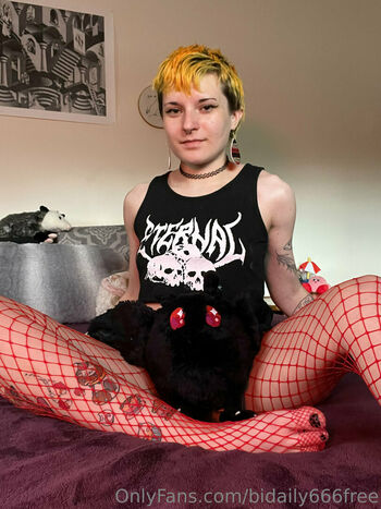 bidaily666free