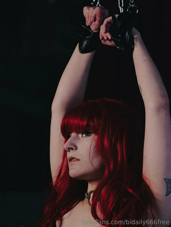 bidaily666free