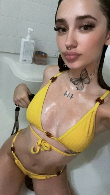 Biddiebb