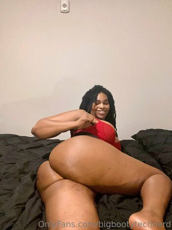 bigbootytechnerd