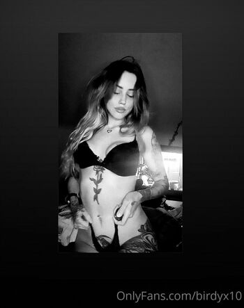 birdyx28