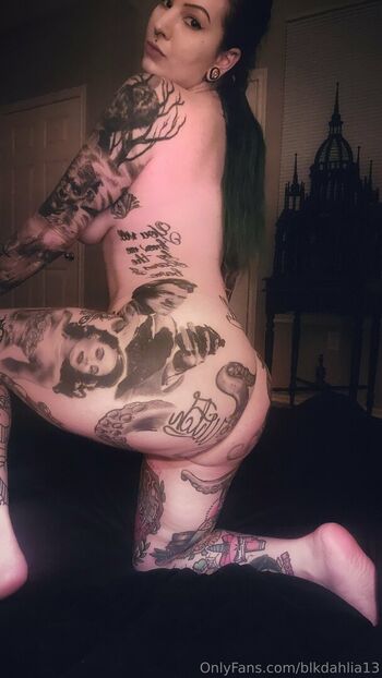 blkdahlia13