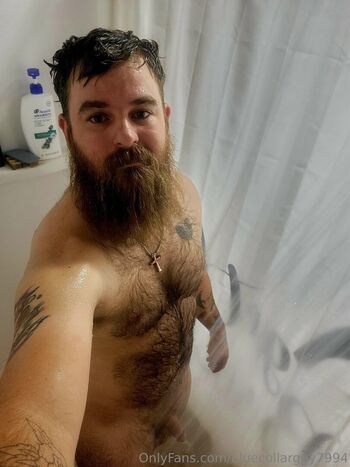 bluecollarguy7994