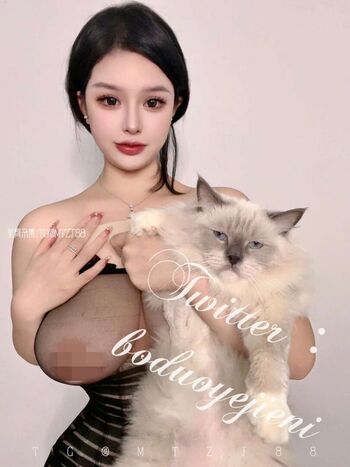 Boduoyejieni 妮妮子