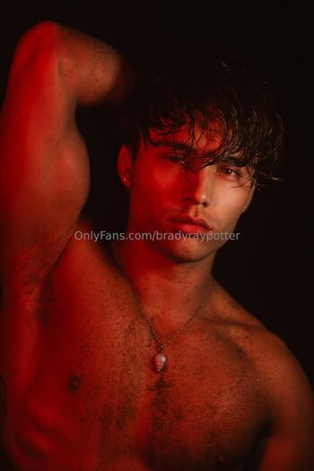bradyraypotter