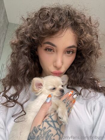 bribunn
