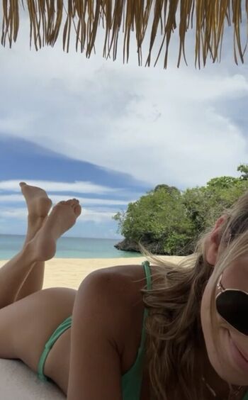 BrieWallz