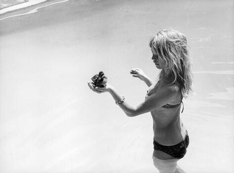 Brigitte Bardot