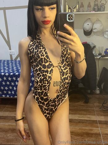 brisa.shine