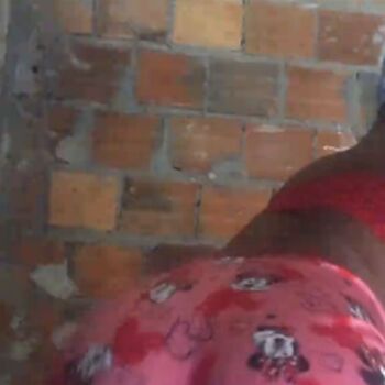 Calma_ruiva
