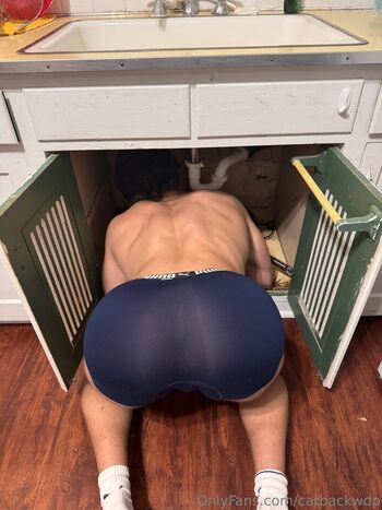 catbackwdp