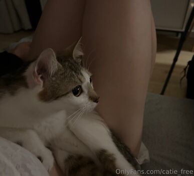 catie_free