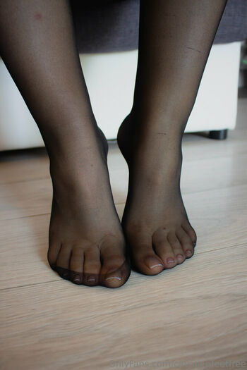 cavalierifeetfree