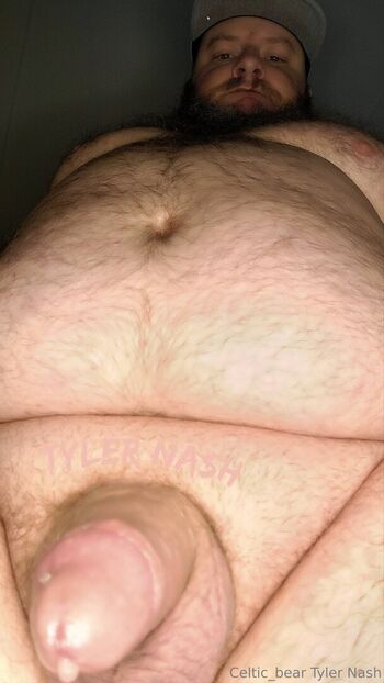 celtic_bear