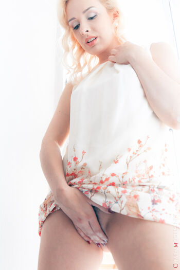 CharmModels