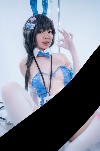 cyerripaws