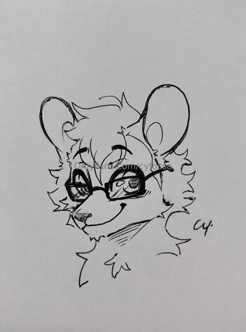 cyfossa