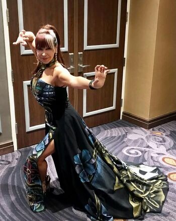 Cynthia Rothrock