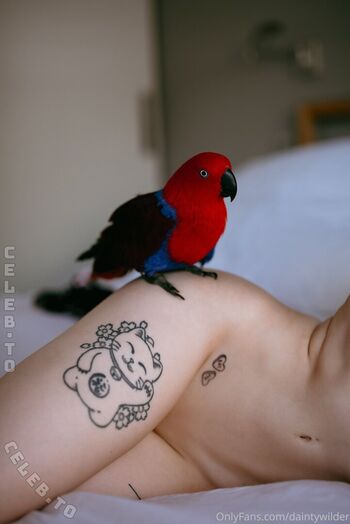 Dainty Wilder