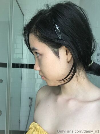 daisy_n1