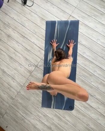 danidrishti