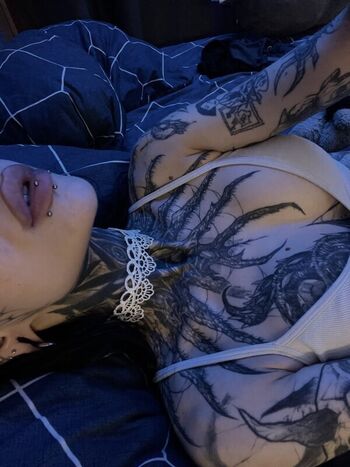 dardarkpirs