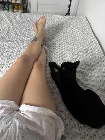 darina_cat