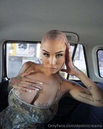 destinicreams